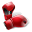 boxing icon