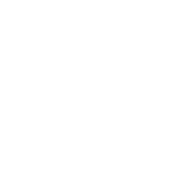 cricket icon